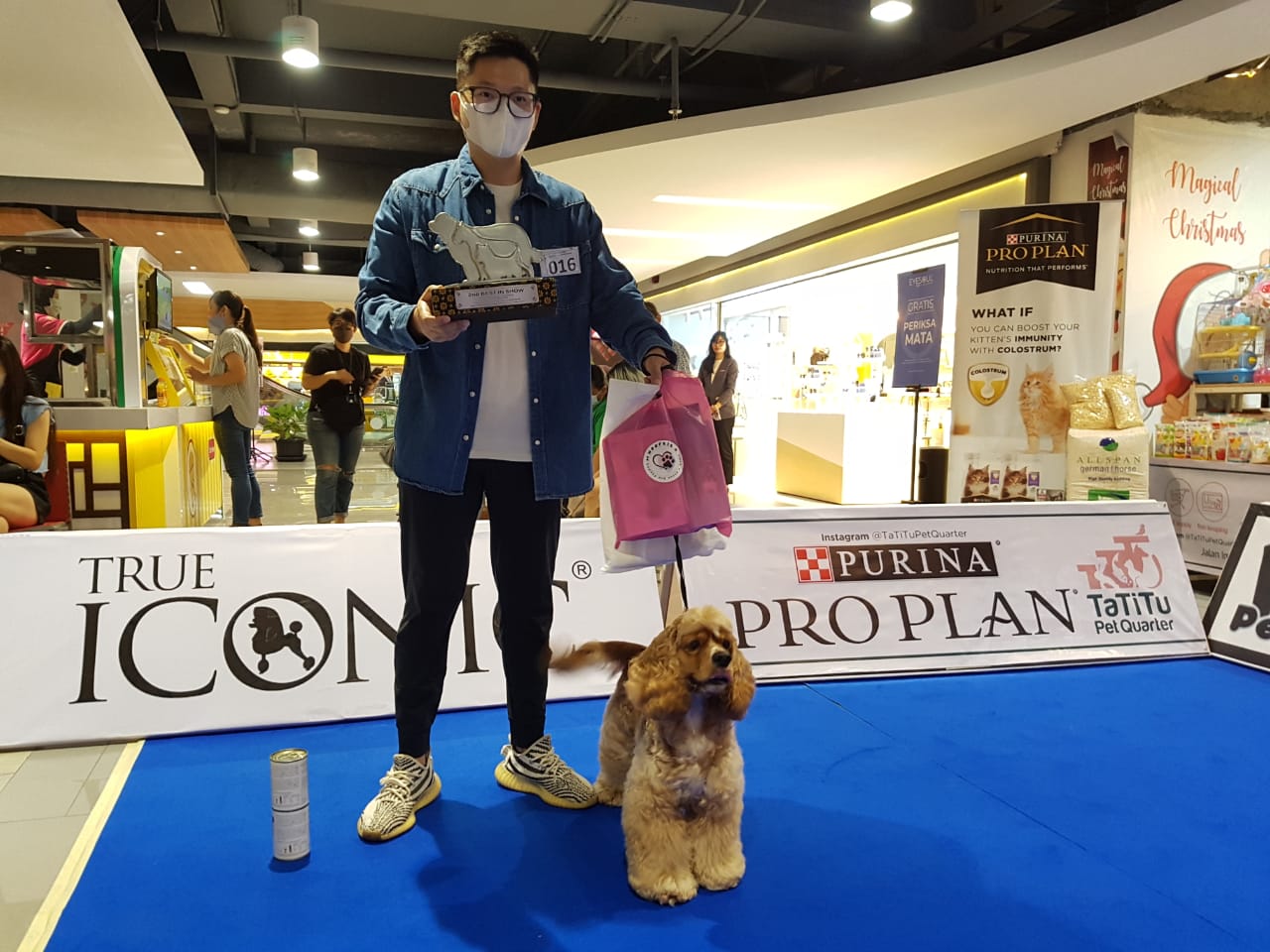 Fun dog show