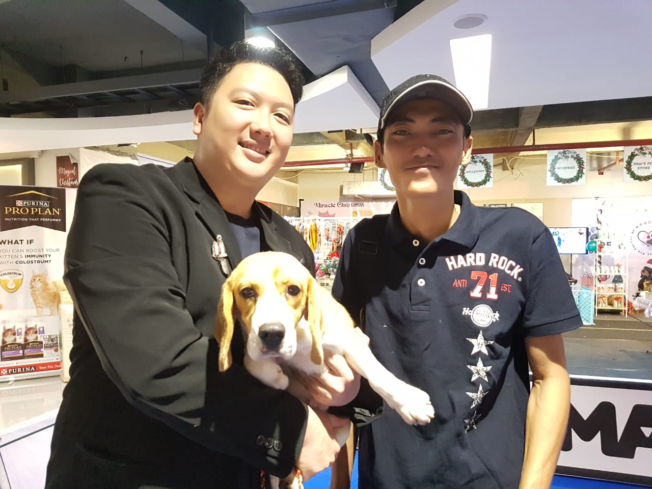 Fun dog show