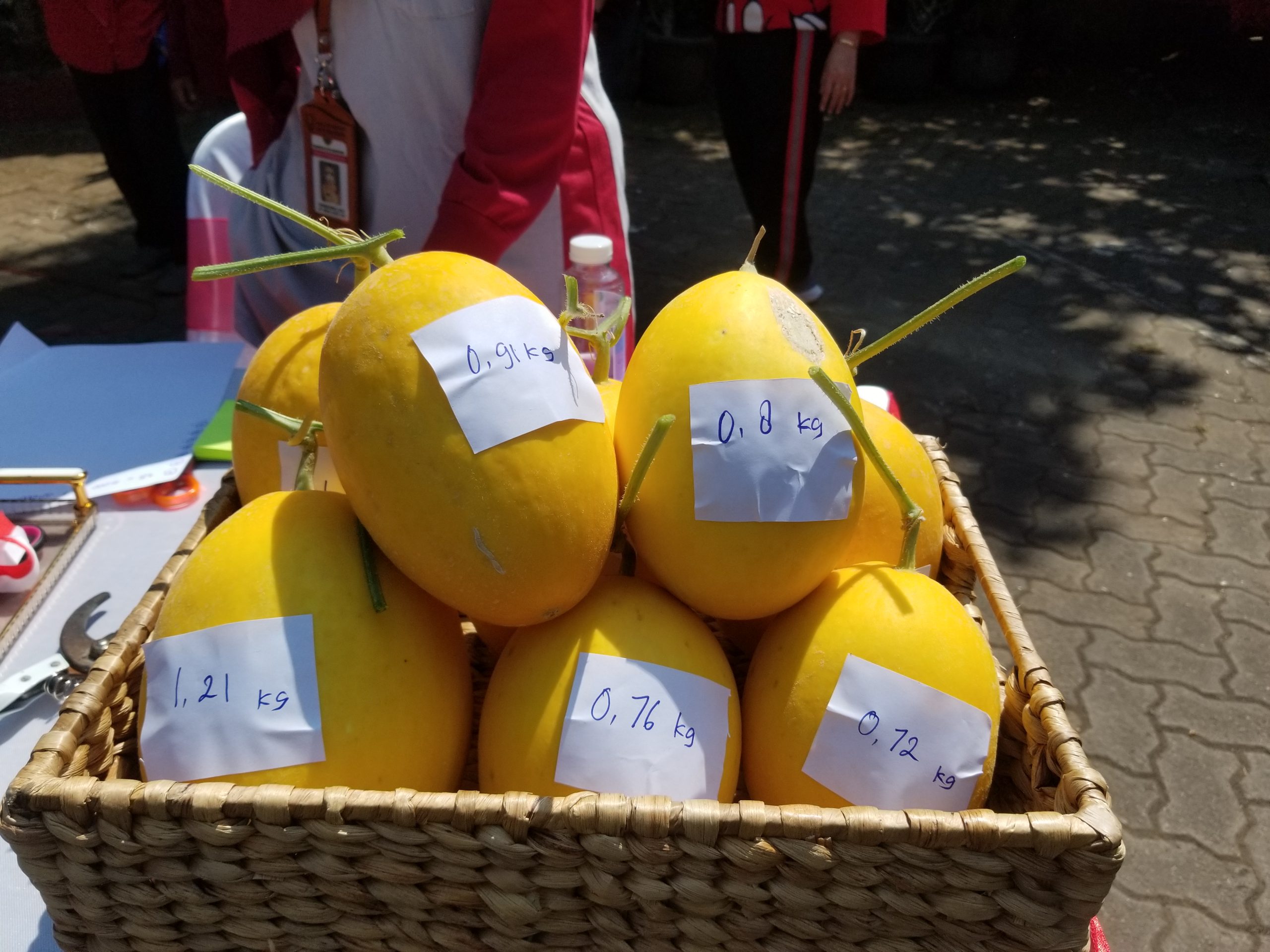 melon alisha smpn22