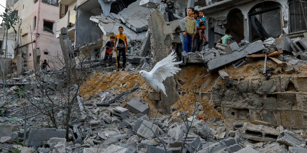 Seekor merpati terbang di atas puing-puing rumah yang hancur akibat serangan Israel, di Khan Younis di selatan Jalur Gaza, 11 Oktober. REUTERS/Ibraheem Abu Mustafa