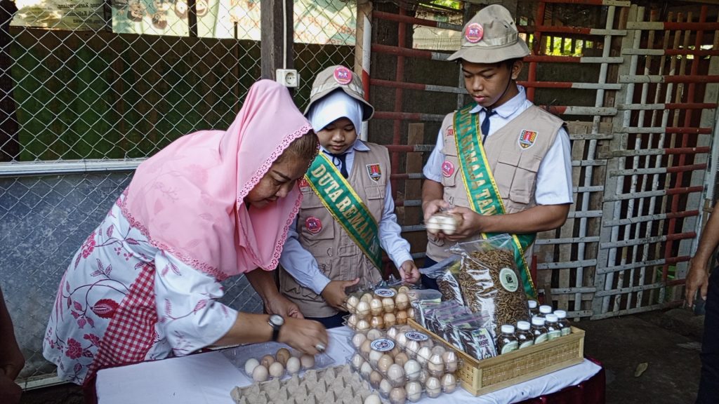 panen telur ayam KUB