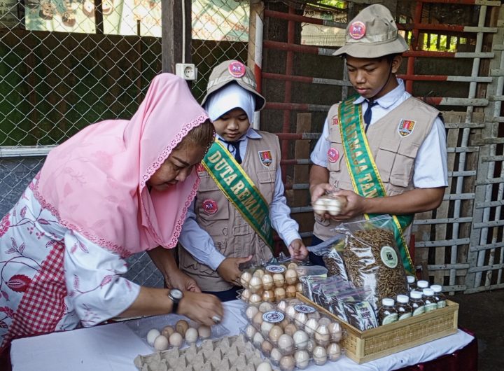 panen telur ayam KUB