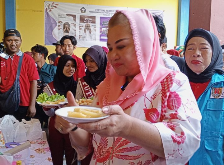 omlet SMPN 22
