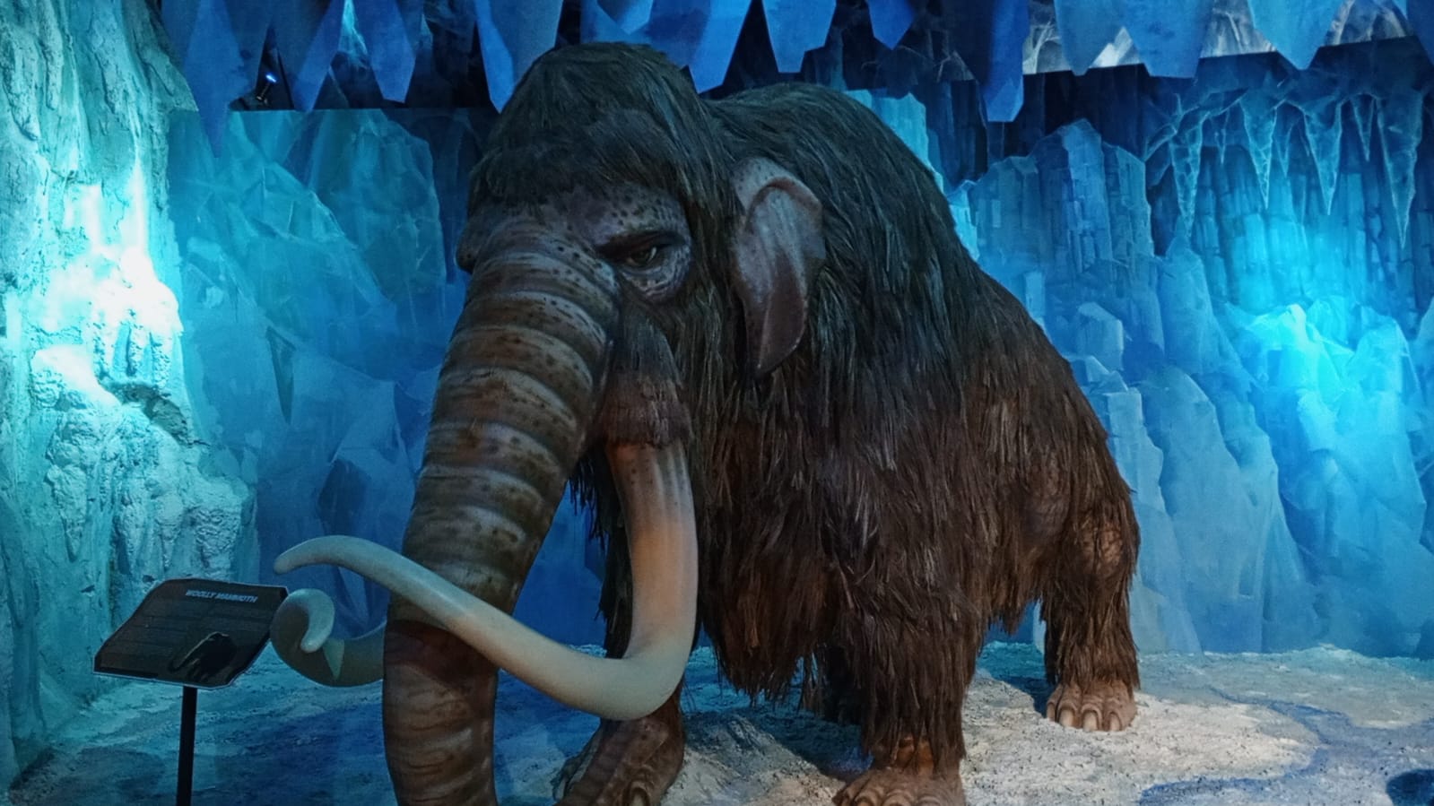 Woolly Mammoth 