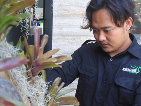 Devian Rizki 