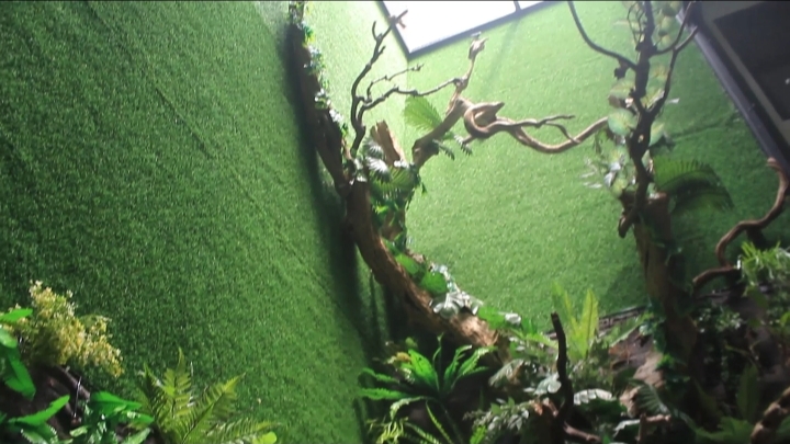 Aviary
