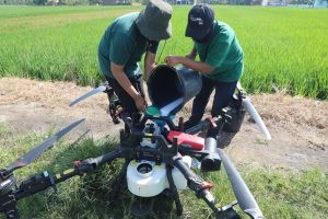 drone pertanian