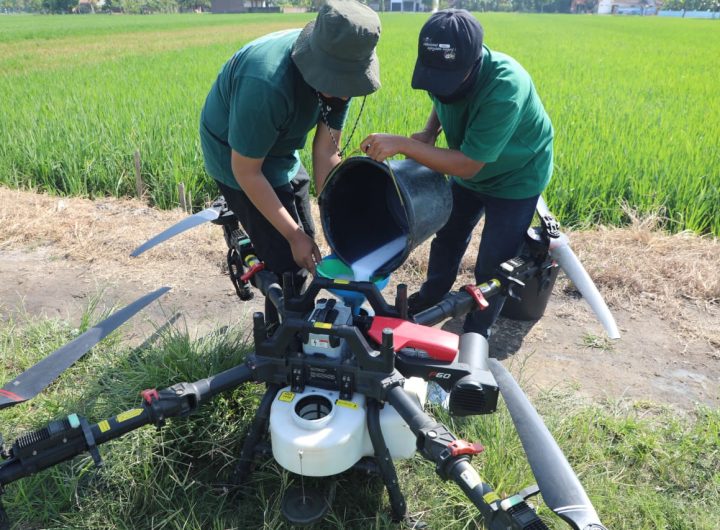 drone pertanian